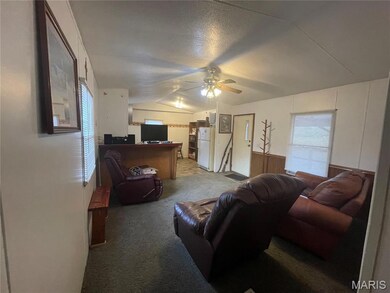 605 S Park Ave, Salem, MO 65560 - photo 7