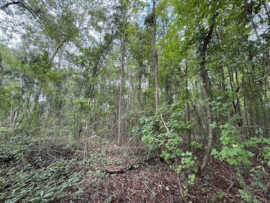 0 Live Oak Ln unit LotWP001, Barnwell, SC 29812 - photo 3