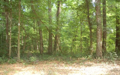 0 SW Bumble St, Ft. White, FL 32038 - photo 2