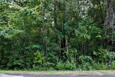 Lot 5 River Plantation Rd, Crawfordville, FL 32327 - photo 6