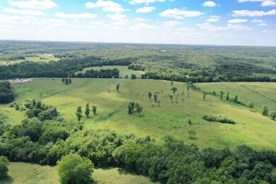 LookingWest1