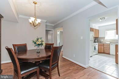 205 Skyhill Rd unit 1, Alexandria, VA 22314 - photo 7
