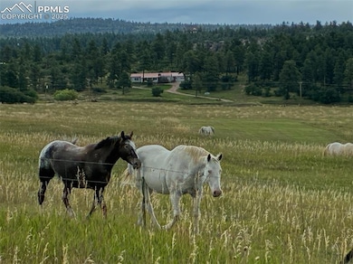 8201 Old San Isabel Rd, Rye, CO 81069 - photo 2