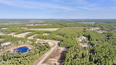 14740 Bream Pond Rd, Panama City, FL 32409 - photo 7