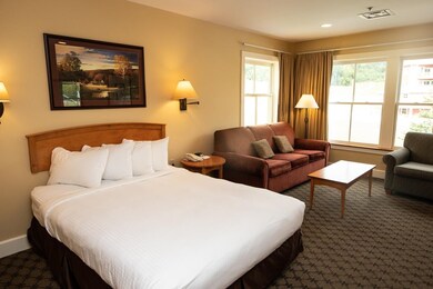 229 Qtr. I I Jackson Gore Inn, Ludlow, VT 05149 - photo 2