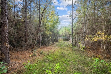 0 Highway 62 Hwy unit 2531744, Franklinton, LA 70438 - photo 5