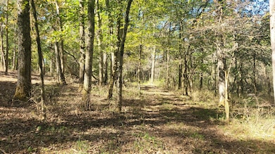 6 Pass Rd, Shelbyville, TN 37160 - photo 4