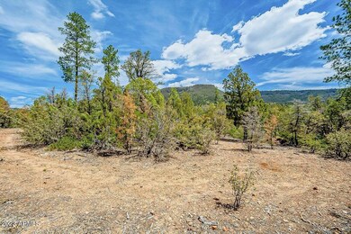 0 Fawn Dr unit 5 6890810, Pine, AZ 85544 - photo 5