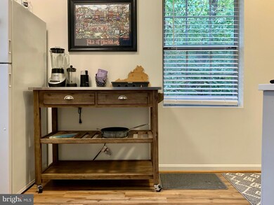 1917 N Rhodes St unit 13, Arlington, VA 22201 - photo 6