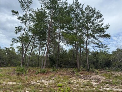 0 NE 135th St unit MFROM709418, Salt Springs, FL 32134 - photo 6