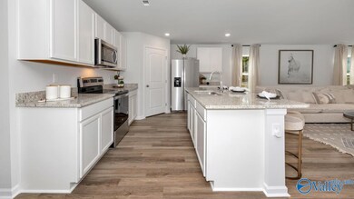 10011 Anders Way, Owens Cross Roads, AL 35763 - photo 4