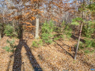 0 Porters Rd unit 671218, Esmont, VA 22937 - photo 5