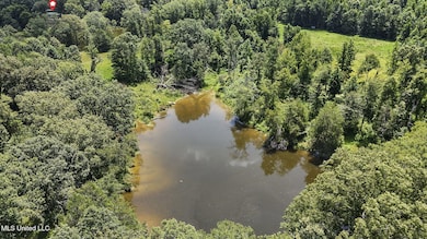 1761 Parks Place Rd, Como, MS 38619 - photo 6