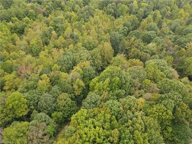 00000 Browers Chapel Rd, Asheboro, NC 27205 - photo 5