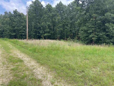 TBD Turkey Springs Ranch Ln, Highland, AR 72543 - photo 6