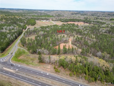 Lot 2 Pine Cir, Coker, AL 35452 - photo 3