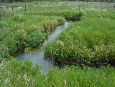creek