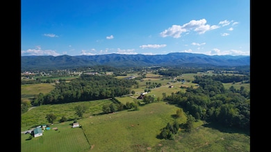 1320 Corby Bridge Rd, Chuckey, TN 37641 - photo 7