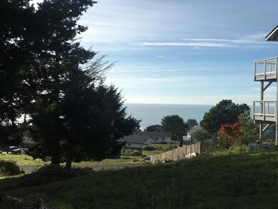 190 Shaker Rd, Whitethorn, CA 95589 - photo 3