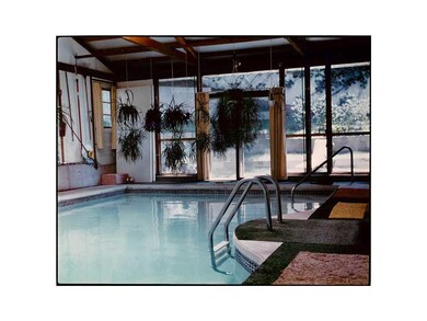 Swimming Pool/Hot Tub/Sauna. Vintage picture of po