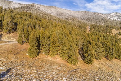 2383 Two Gun White Calf, Big Sky, MT 59716 - photo 5