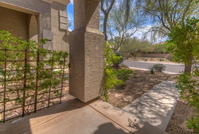 Lush Landscaping
