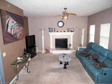 Living Room /Gas Fireplace
