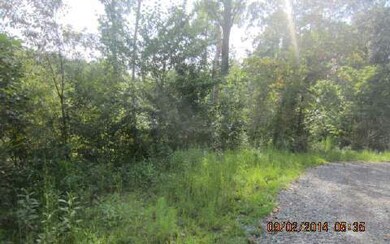 1016 Gateway Dr, Ellijay, GA 30540 - photo 2