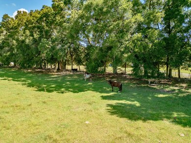 0 SW 80th St, Trenton, FL 32693 - photo 4