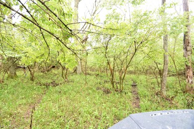 Tract 4 at Dean Rd, Harrodsburg, KY 40330 - photo 7