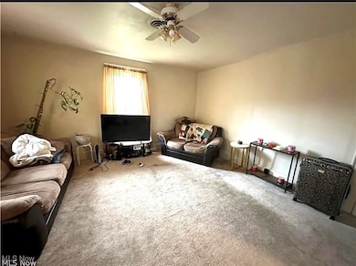 574 Spring St, Struthers, OH 44471 - photo 4