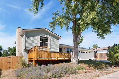 9953 Travis St, Thornton, CO 80229 - photo 4