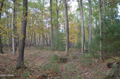 Lot 25 Griff Ct, Dingmans Fry, PA 18328 - photo 3