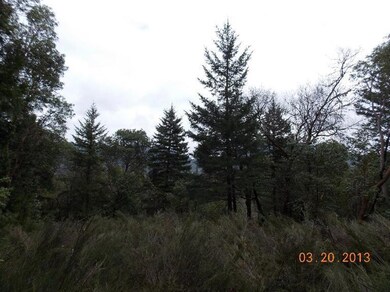 222 Gray Eagle Dr, Grants Pass, OR 97526 - photo 4