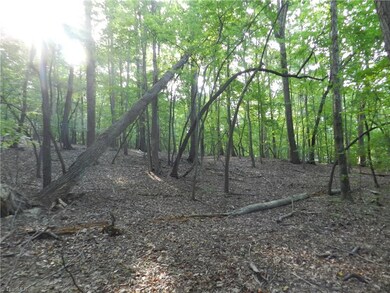 0 Trogdon St, Asheboro, NC 27205 - photo 2