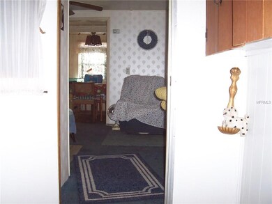 unlisted-address, Zephyrhills, FL 33542 - photo 5