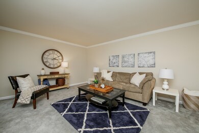 87 Venetian Way Cir, Wheaton, IL 60189 - photo 5