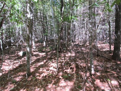 0 M16 L20 unit 1371774, Bowerbank, ME 04426 - photo 3