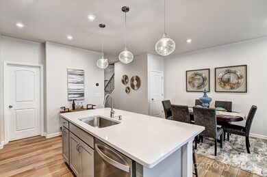 9216 Pagoda Oak Dr, Charlotte, NC 28269 - photo 6