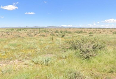 Acequia Rd, Akela, NM 88030 - photo 7