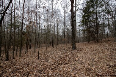 TBD S Hwy 71, Winslow, AR 72959 - photo 4