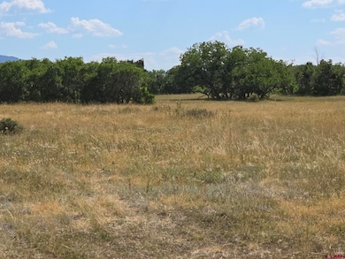 tbd Lone Cone Meadows Ln, Norwood, CO 81423 - photo 5