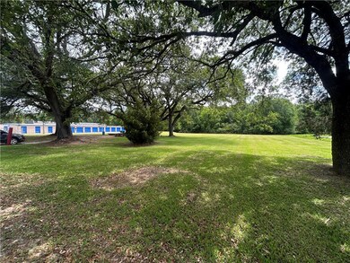 View of grassy yard