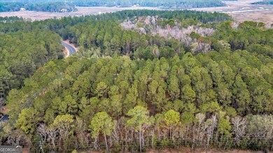 Lot 83 Fiddlers Cove, Townsend, GA 31331 - photo 5