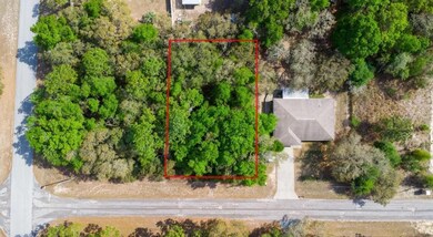 1504 W Saint Elizabeth Place, Citrus Springs, FL 34434 - photo 3