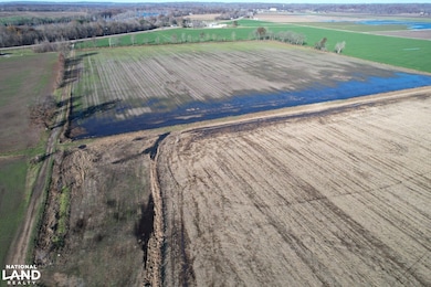 001 Il Route 3, Olive Branch, IL 62969 - photo 5