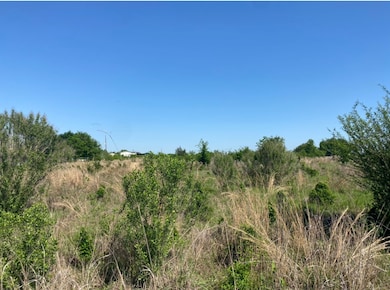 10.25 Acres Mustang Loop, Madisonville, TX 77864 - photo 7