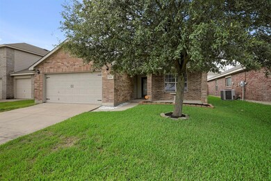 A well established tree in the front yard provides shade, without killing the grass.