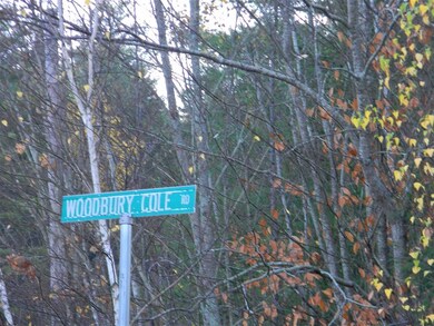 L34E Woodbury Cole Rd, Stark, NH 03582 - photo 2