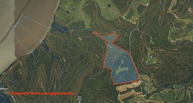 0 Bells Mines School Rd, Sturgis, KY 42459 - photo 2